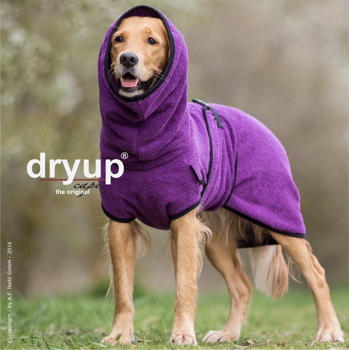 Dryup